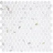 Image de Penny Ecostone