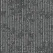 Image de Xtra II