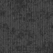 Image de Xtra II