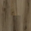 Rich Hickory