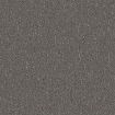 Spiderweb grey wall
